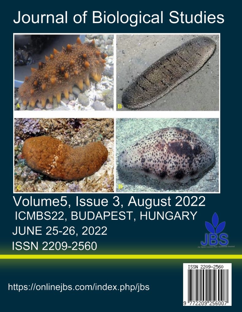 Commercially important species of sea cucumbers in aquaculture: A) Stichopus japonicas, B) Holothuria scabra, C) Actinopyga mauritiana and D) Holothuria fuscogilva- From Rahman et al., 2022